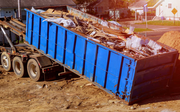 Best Shed Removal  in New Ulm, MN